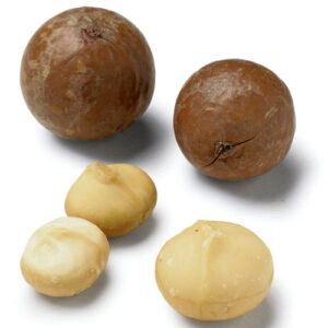 Macadamia Nuts